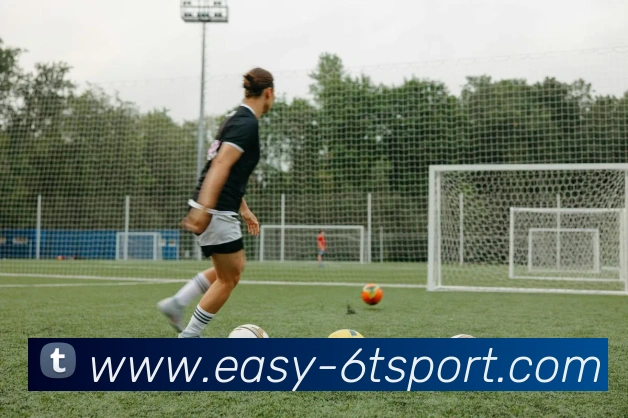 6T体育平台生态图