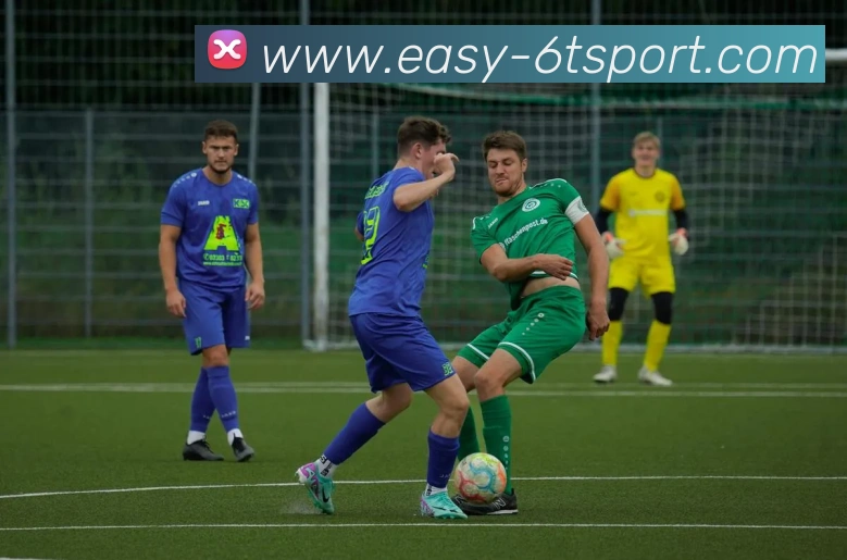 6T体育APP 封面图